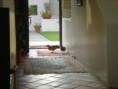 /album/axls-home/a11-jpg/